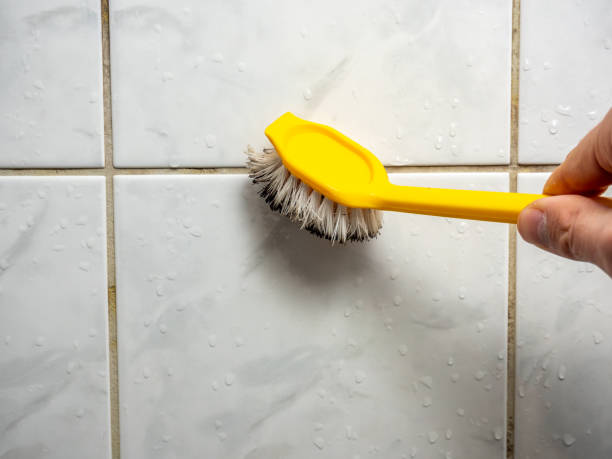 Best Attic Mold Removal  in Coachella, CA