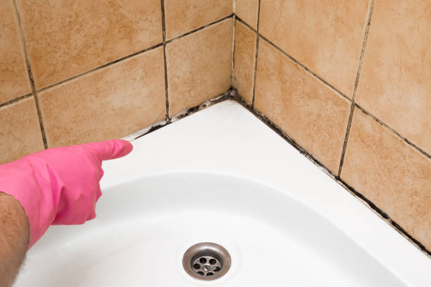 Best Residential Mold Removal  in Coachella, CA